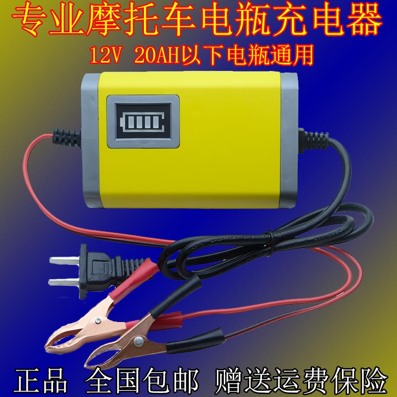 12伏踏板机车电瓶充电器干水蓄电池修覆冲电器12V充电机通用型