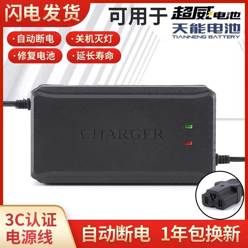 电瓶激活修复器48V 60V电池维护脉冲电池修复器电动车充电配件