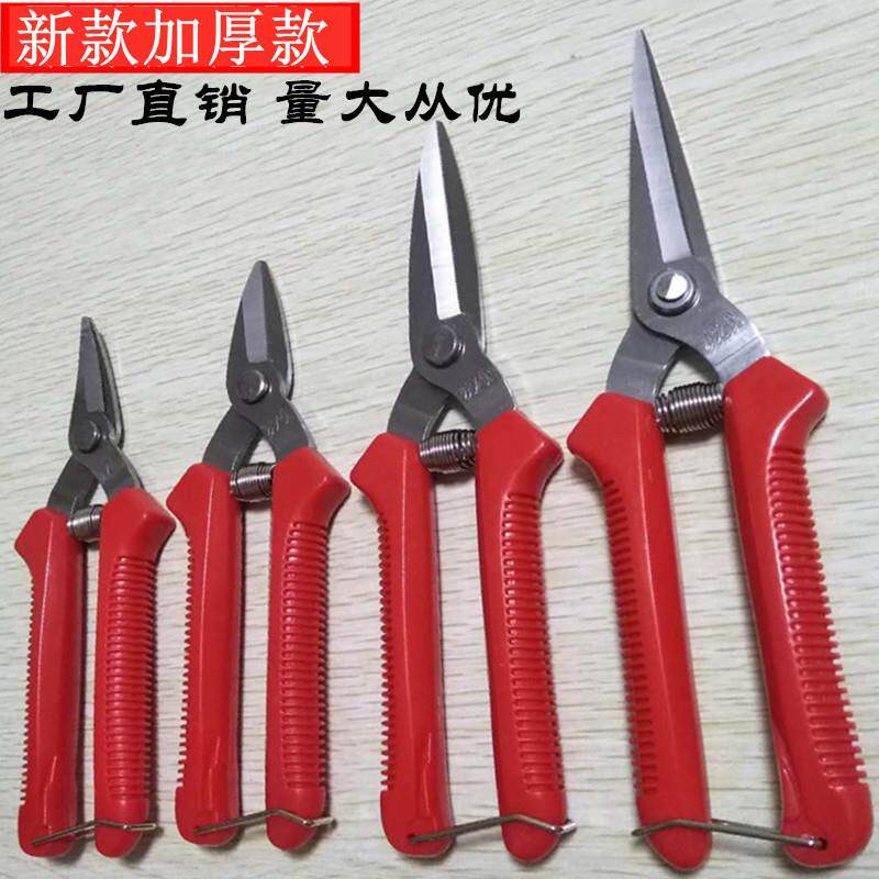 不锈钢葡萄剪尖头稀果剪花园整理剪果树剪刀摘花椒采果剪盆景修枝