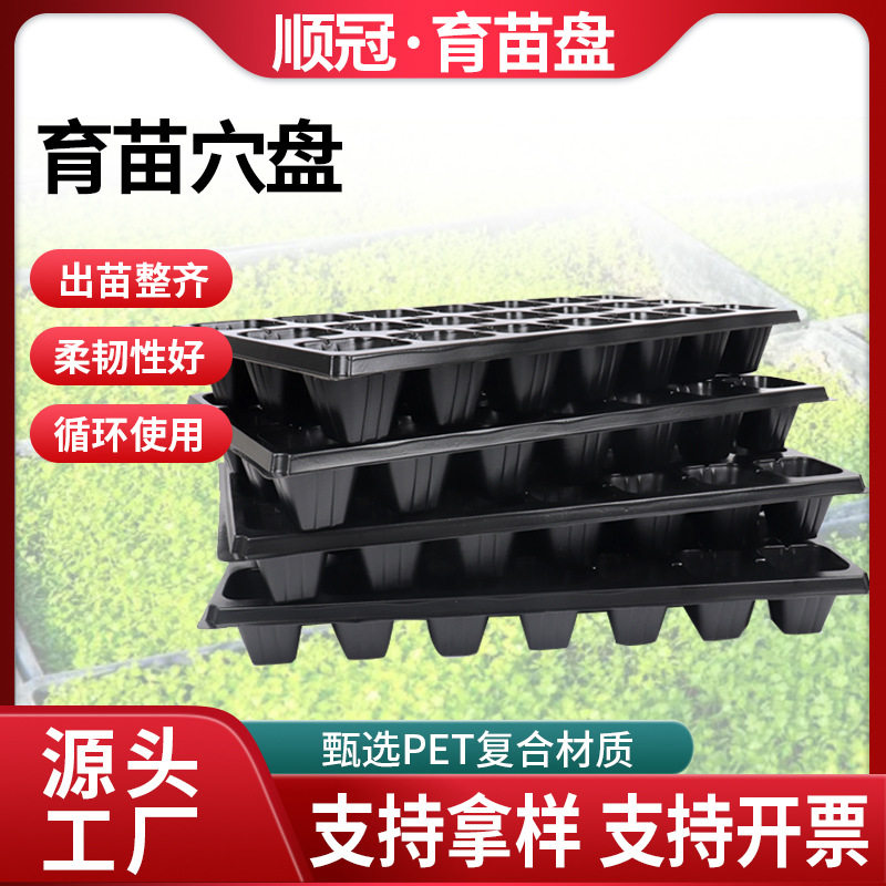 源头工厂塑料育苗穴盘多肉蔬菜