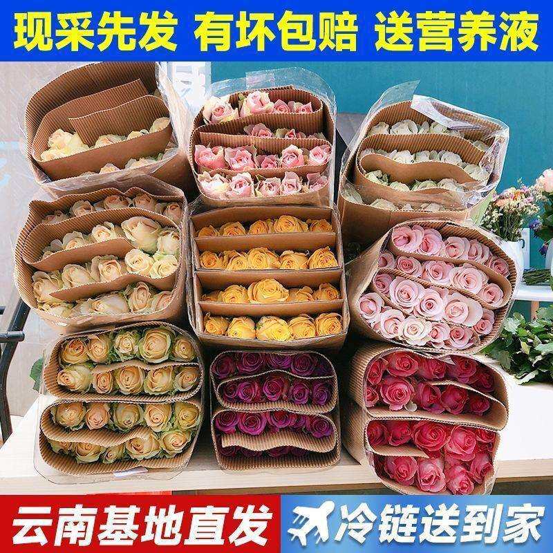 鲜花基地直发玫瑰花花束便宜花材直批水养家庭插花玫瑰保鲜剂切花