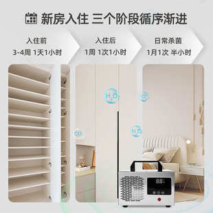 修办公室祛除苯臭异味甲醛空气净化消毒臭氧发生机仪器 新房家用装