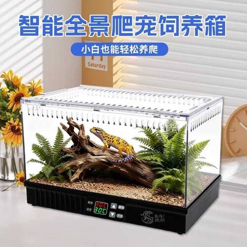 离谱爬创爬宠温控加热恒温饲养箱蜥蜴瘤尾豹纹肥尾守宫蛇蜘蛛造景