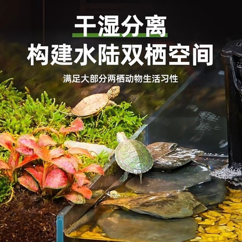 乌龟饲养缸家用玻璃缸黄缘半水龟专用缸水陆两栖生态缸两用桌面缸