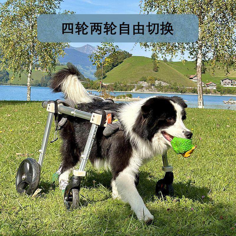 狗轮椅宠物车四肢残疾训