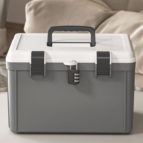 手提带锁的储物箱学生宿舍零食整理收纳箱家用办公文件证件密码箱