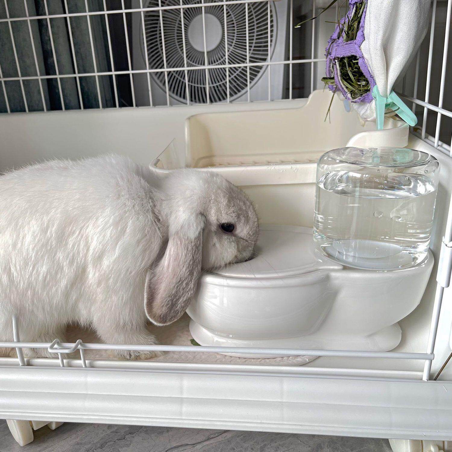 陶瓷马桶饮水器改善湿下