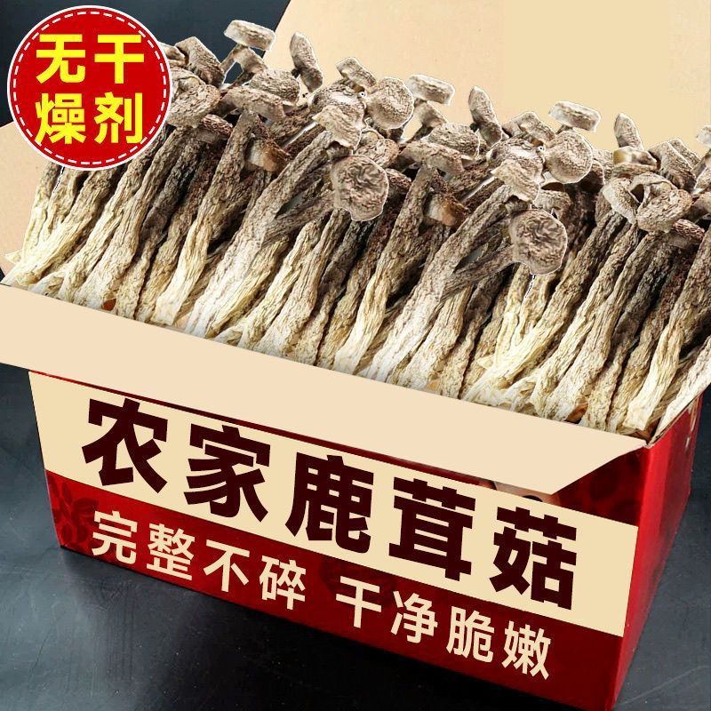 鹿茸菇干货500g鹿茸菌云南特产脆脆菇特级食用菌煲汤菌类干货食材