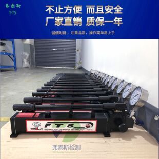 双速液压泵 德国FTS压手动泵不锈钢液压手动增压泵手动液压泵