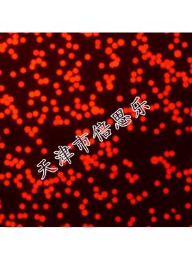 荧光微球/聚苯乙烯荧光微球/聚苯乙烯微球/红色/Ex 620nm/Em680nm