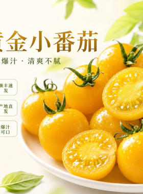 薄皮小番茄新鲜黄金圣女果樱桃黄色小番茄水果孕妇现摘柿子黄色