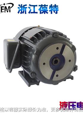厂家HGP1A齿轮油泵电机三相卧式油压马达立式液压电动机