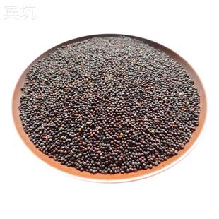 INDIAN SPICE 印度食品 香料 BLACK MUSTARD SEEDS 黑芥籽 100g