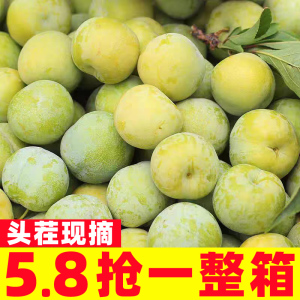 李子正宗四川汶川青脆李子5斤新鲜水果当季脱骨李空心脆甜整箱3