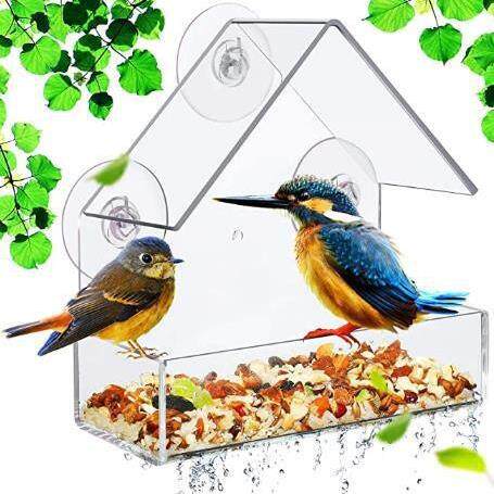 Window Bird Feeder with Strong Suction Cups Clear Bird