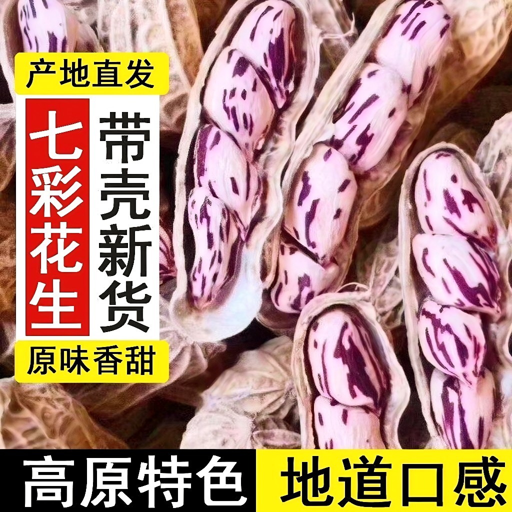 正宗云南七彩花生龙岩花生新货原味带壳富硒生熟花生黑花生米批发