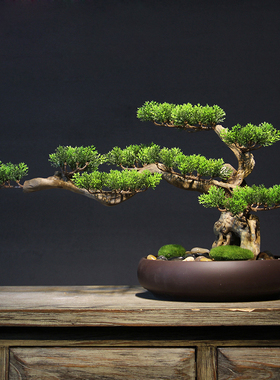 仿真迎客松盆景酒店摆件客厅玄关家居装饰品新中式茶室微景观绿植