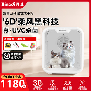 肖迪XD60 宠物智能烘干箱猫咪自动吹干机家用烘干机吹风吹水机