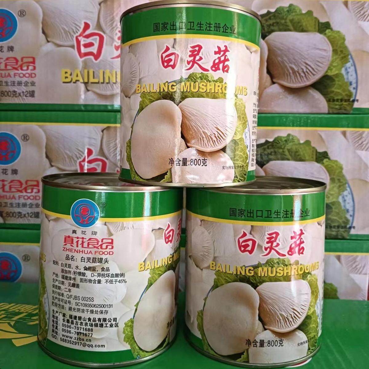白灵菇罐头800g野餐食材菌菇拌饭酱即食方便菜云南特产漳州特产