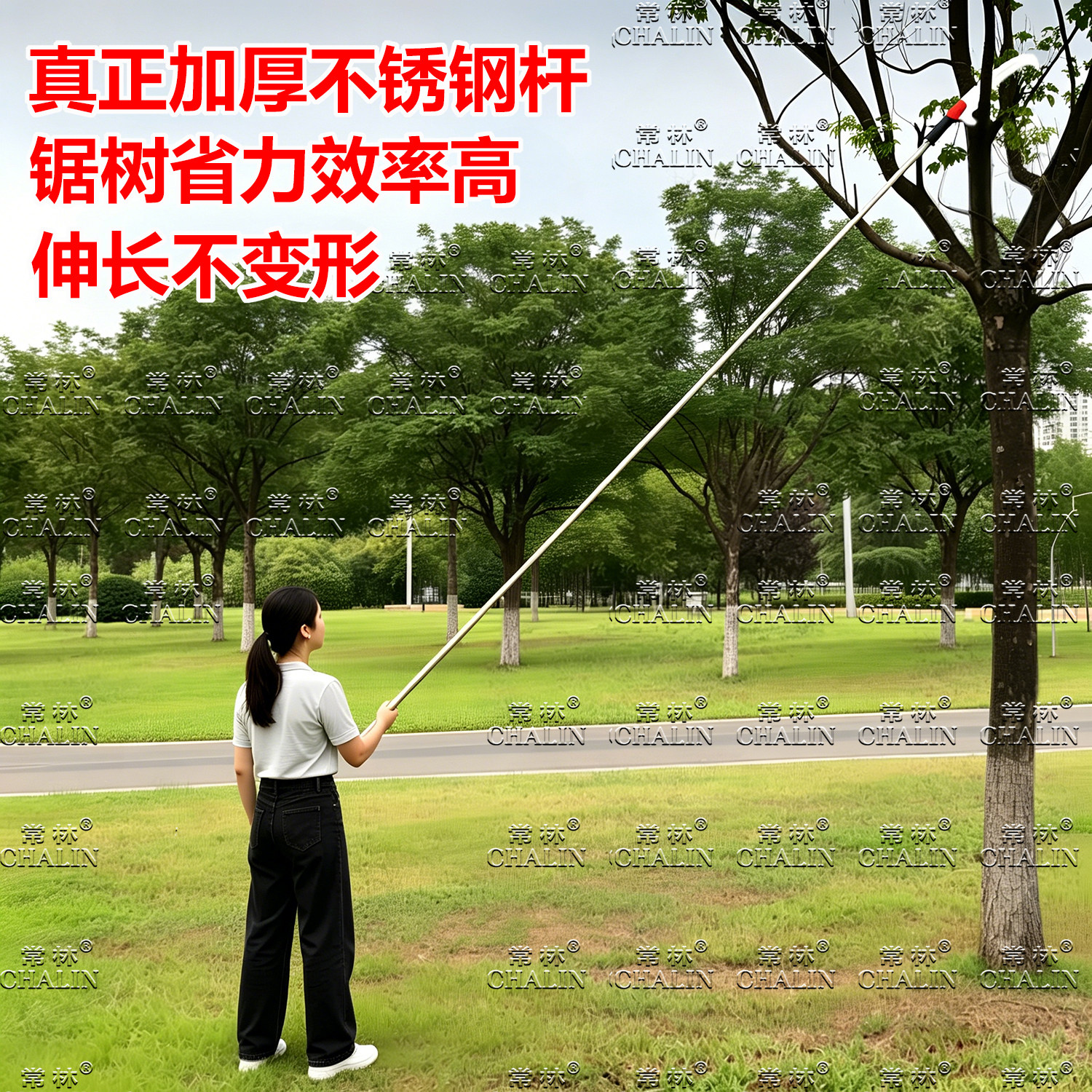 专修高处的树枝高空高枝锯