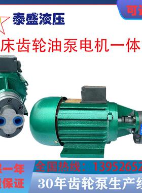 CB-B4/B6/B10锯床齿轮油泵电机370/550W金华龙达正方YS7124/7134