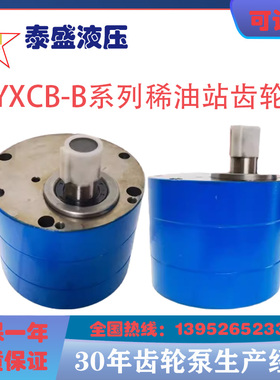 5HYXCB-B125/100/80 HYXCB-B63/40稀油站齿轮油泵HYCB-B25润滑泵