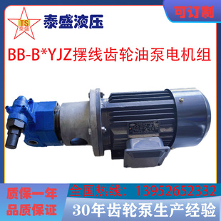 63Y立卧式 B50Y 摆线油泵电机组BB B80Y 125YJZ 100Y B40YJZ