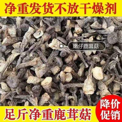 鹿茸菇干货特级500g 特选鹿茸菌古田特产饭店酒店干锅鹿茸菇专用