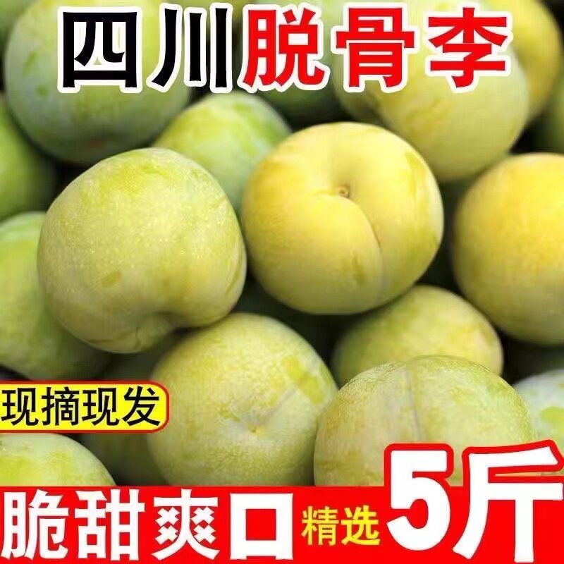 正宗四川青脆李脱骨李子新鲜当季孕妇水果5斤包邮清脆李酸甜巫山