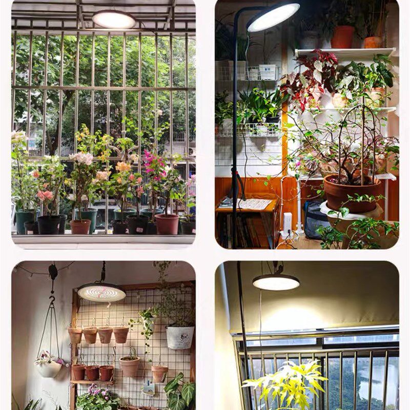 全光谱携阳光模拟灯植物补光灯阳台室内植物灯仿太阳光照灯生长灯