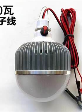 水果灯可调色低压12vLED生鲜灯48V60V电瓶车变色水果摊位照明灯泡