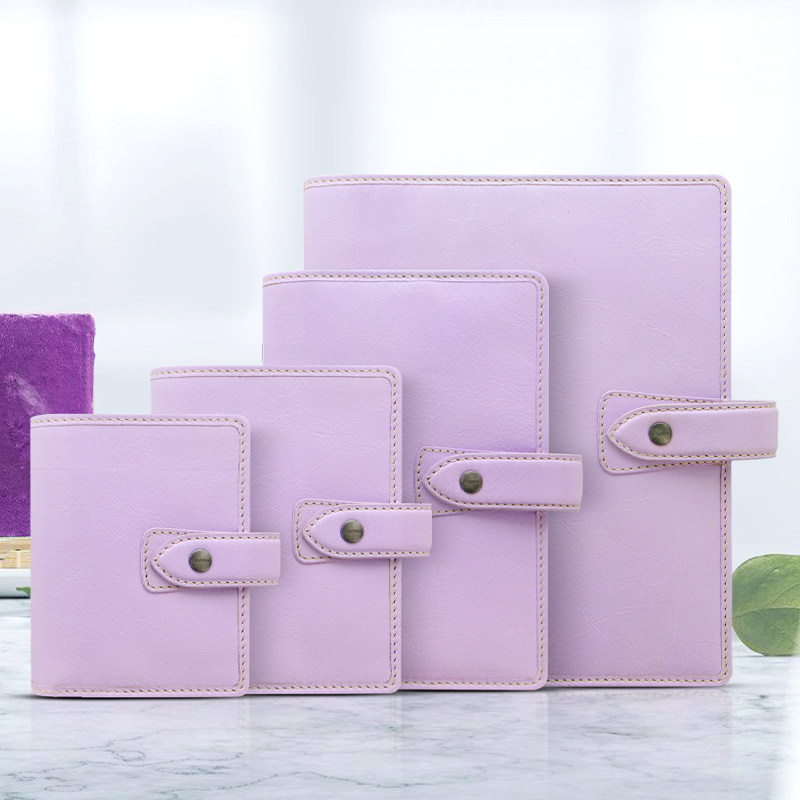 英国filofax malden A5 A6 A7 A8迷你可爱本子笔记本日程本真皮手