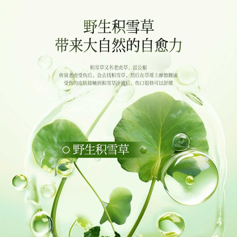 积雪草水纯露湿敷水痘痘痘印晒后补水保湿舒缓清爽300ml