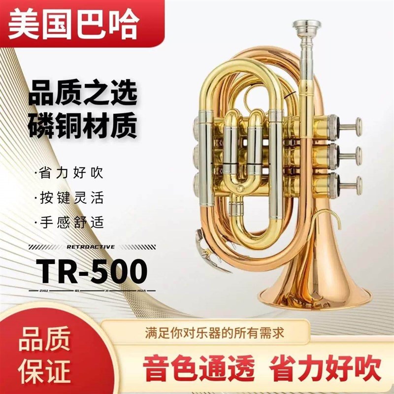 巴哈手掌号乐器 袖珍小号乐器 可携式 手掌号降B调 短号