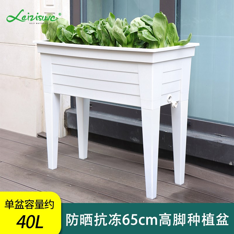 高脚自吸水阳台种菜专用盆长方形花盆大号树脂白色蔬菜箱草莓葱盆