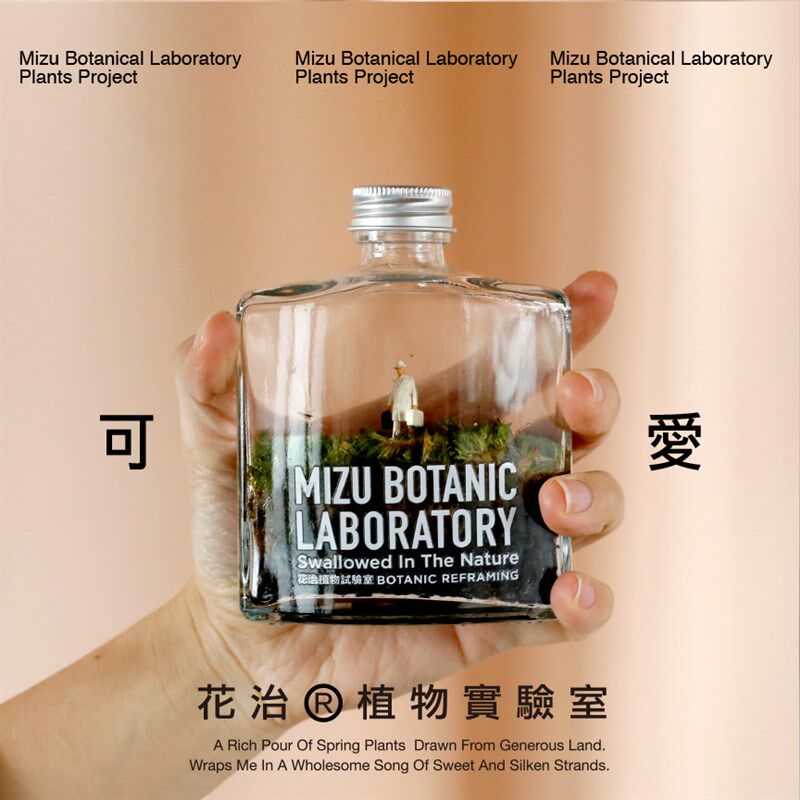 花治罐装植物植物微景观苔藓威士忌创意迷你植物礼品送长辈送朋友