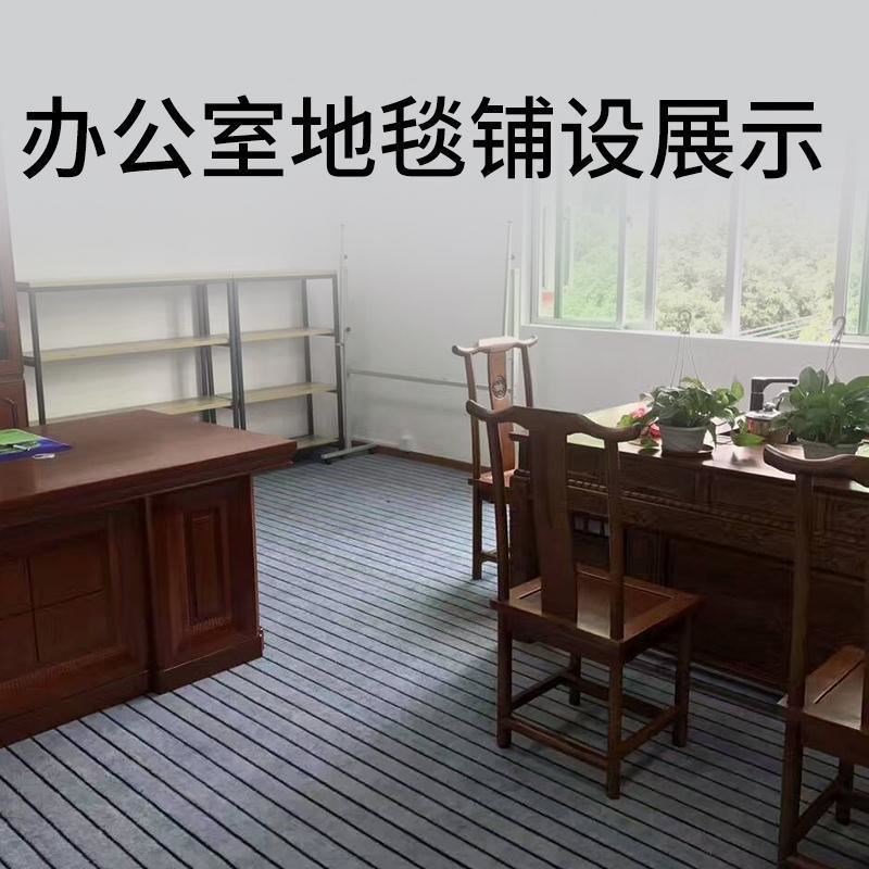 加厚地毯地垫满铺隔音家用卧室客厅办公室宾馆水泥地大面积可裁剪