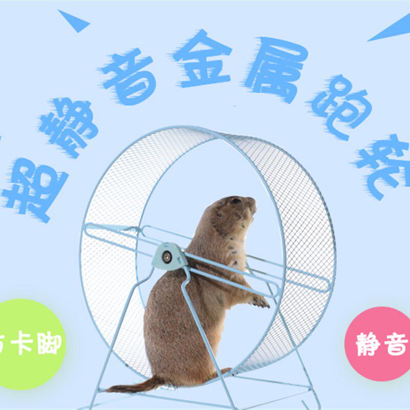 点儿小宠店静音跑轮非洲迷你刺猬32cm金属菱形龙猫不卡脚包邮仓鼠