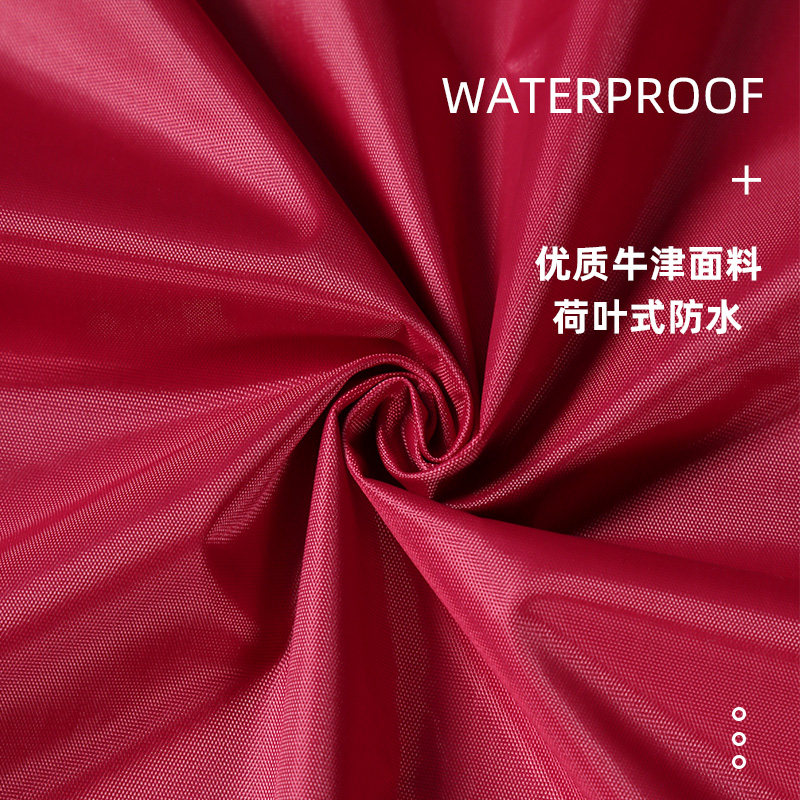 电动摩托车老年人代步车三轮车雨衣长款全身防暴雨双人专用遮雨披