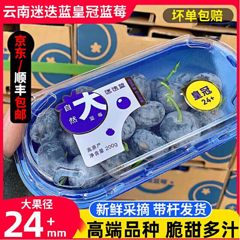 云南高山蓝莓24+带梗超大巨 无霸蓝莓新鲜孕妇水果当季整箱礼盒