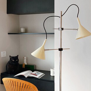 跨境新款双奶油调落地灯简约客厅喇叭F-T746可升降节卧床室头立式