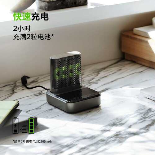 G绿再专0业P41+D461配4粒5号260毫安6时盒装(PRecyIWLko21)