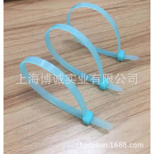 自尼锁式低龙扎带耐候性扎线带耐温扎带出口型环扎带CT2805保扎带