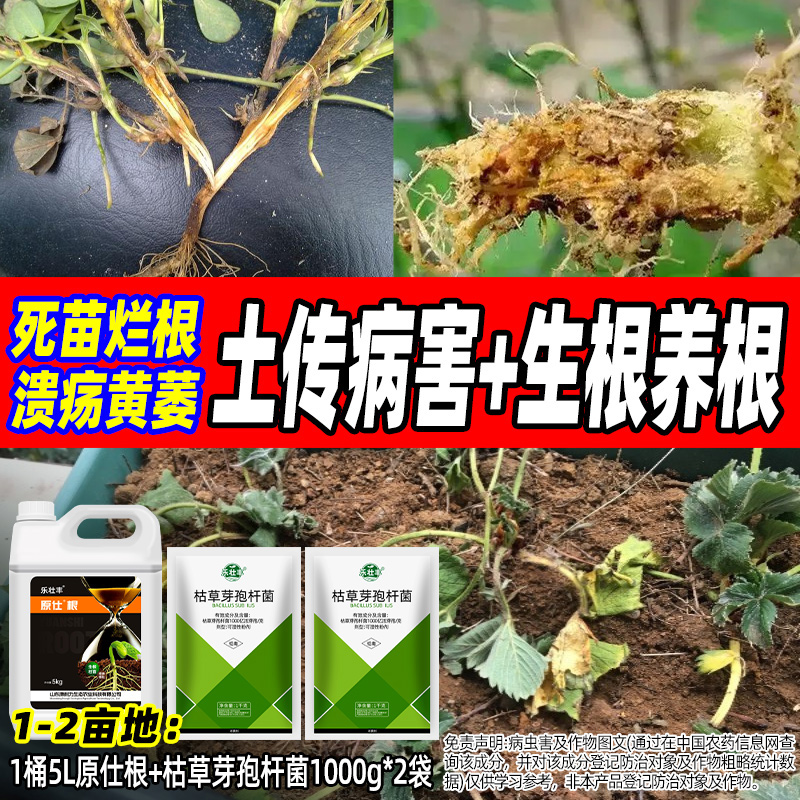 土传病害农药杀菌生根组合