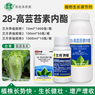 兰月奔福28-高芸苔素内酯蔬菜白菜健壮植株增产收植物生长调节剂