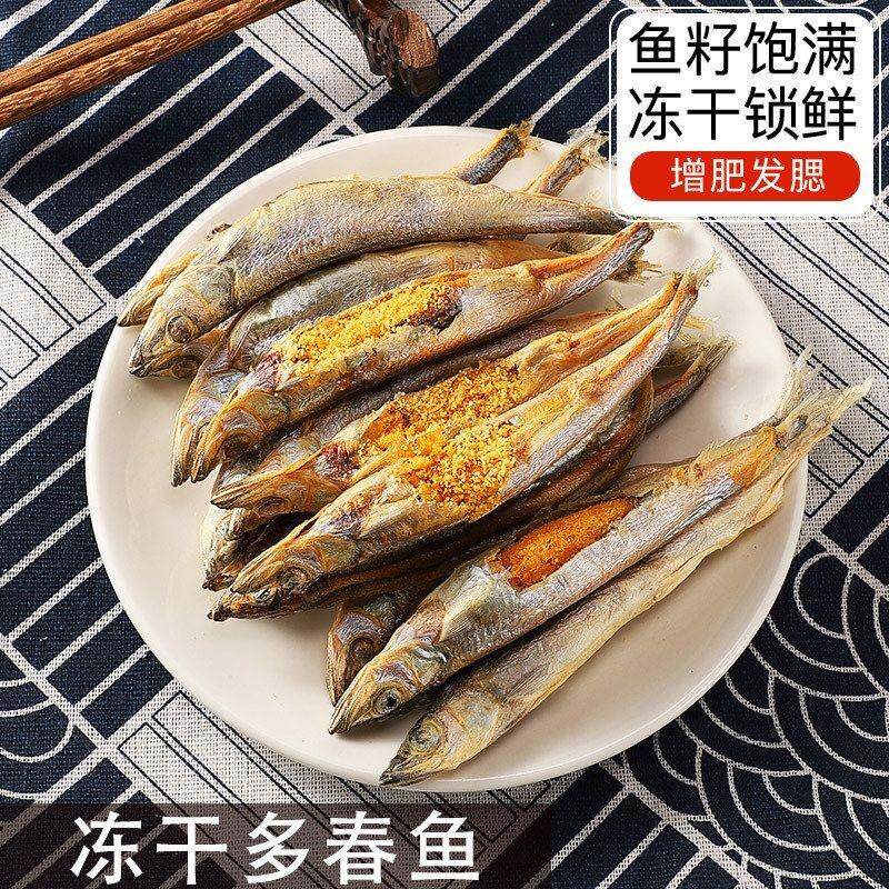 发腮鱼冻干零食猫咪增肥猫粮幼