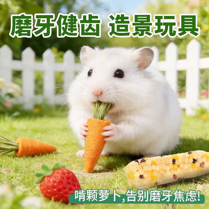 小熊饼干仓鼠营养磨牙胡萝卜磨牙