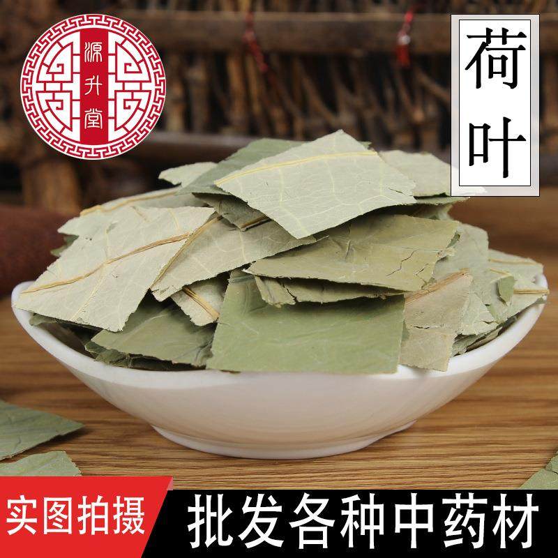 微山湖产地荷叶片新货色泽青 各种花草茶原料 量大从优