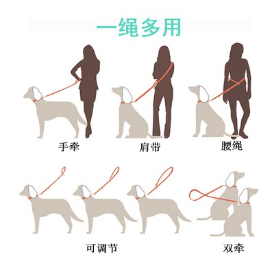 极速Multifunctional Nylonw Dog Leash Pet Dog Leash Walking
