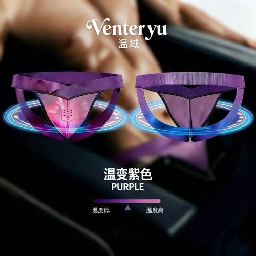 温域VENTERYU「刺客」温变透视男双丁内裤男人魅力紫色透气内裤